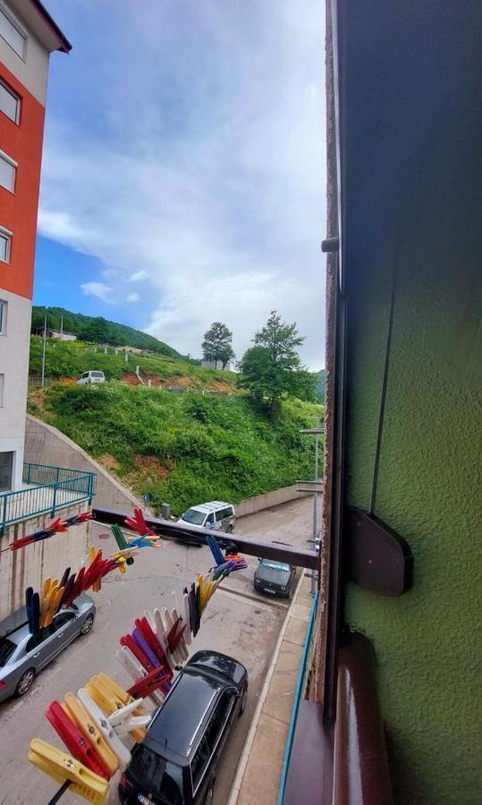 Apartman Pavle بلوزين المظهر الخارجي الصورة