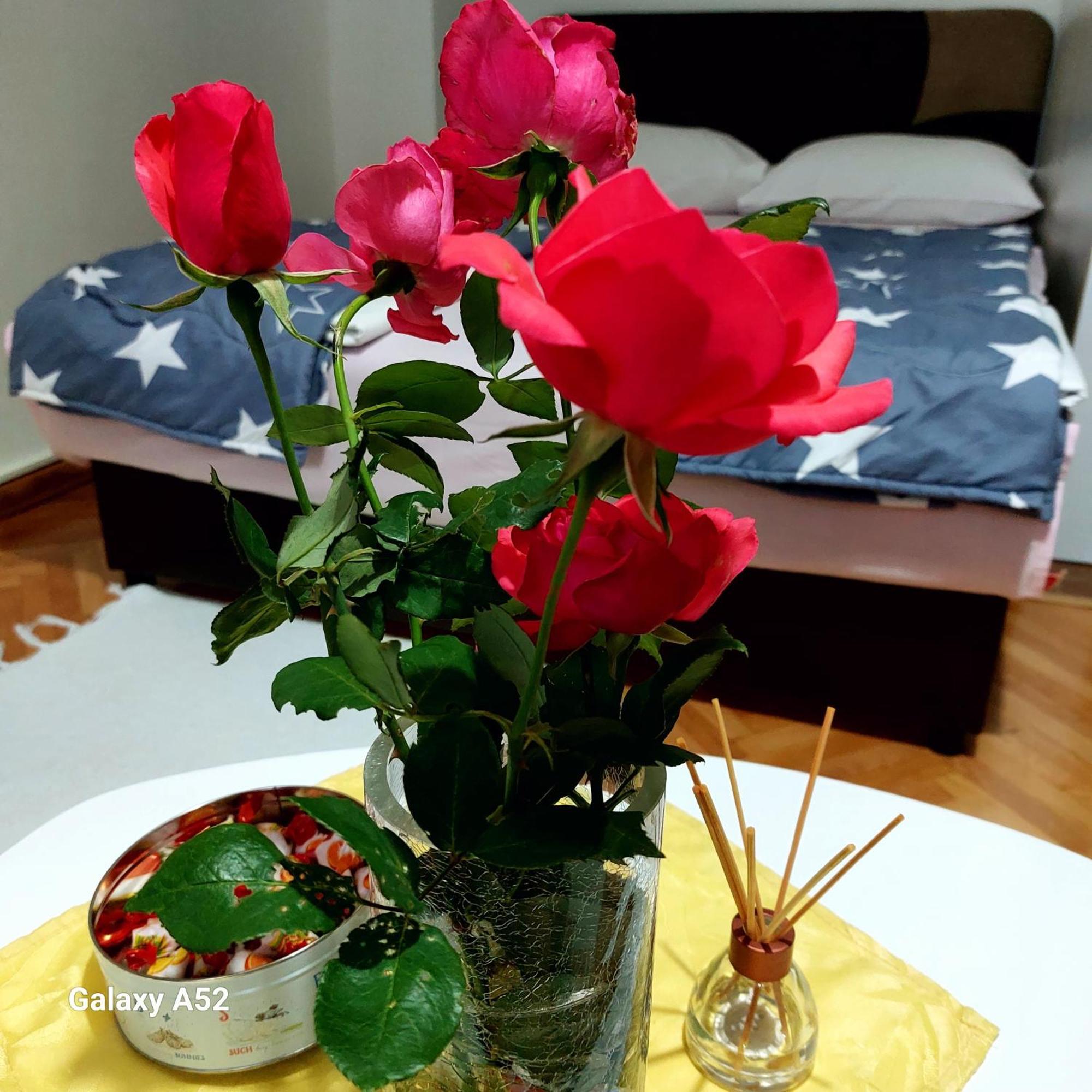 Apartman Pavle بلوزين المظهر الخارجي الصورة